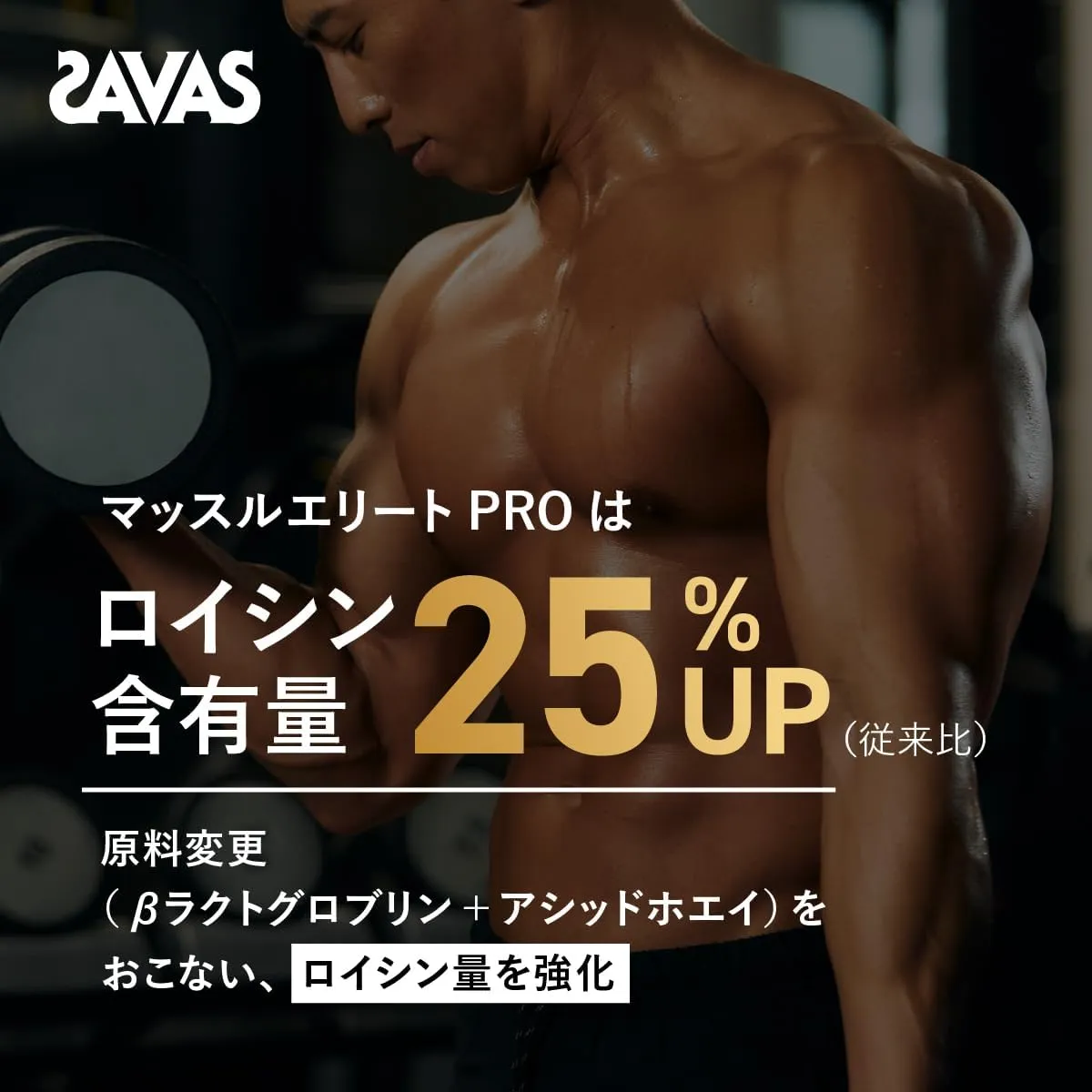ザバス プロ マッスルエリート チョコレート風味 800g | TEAM MATE